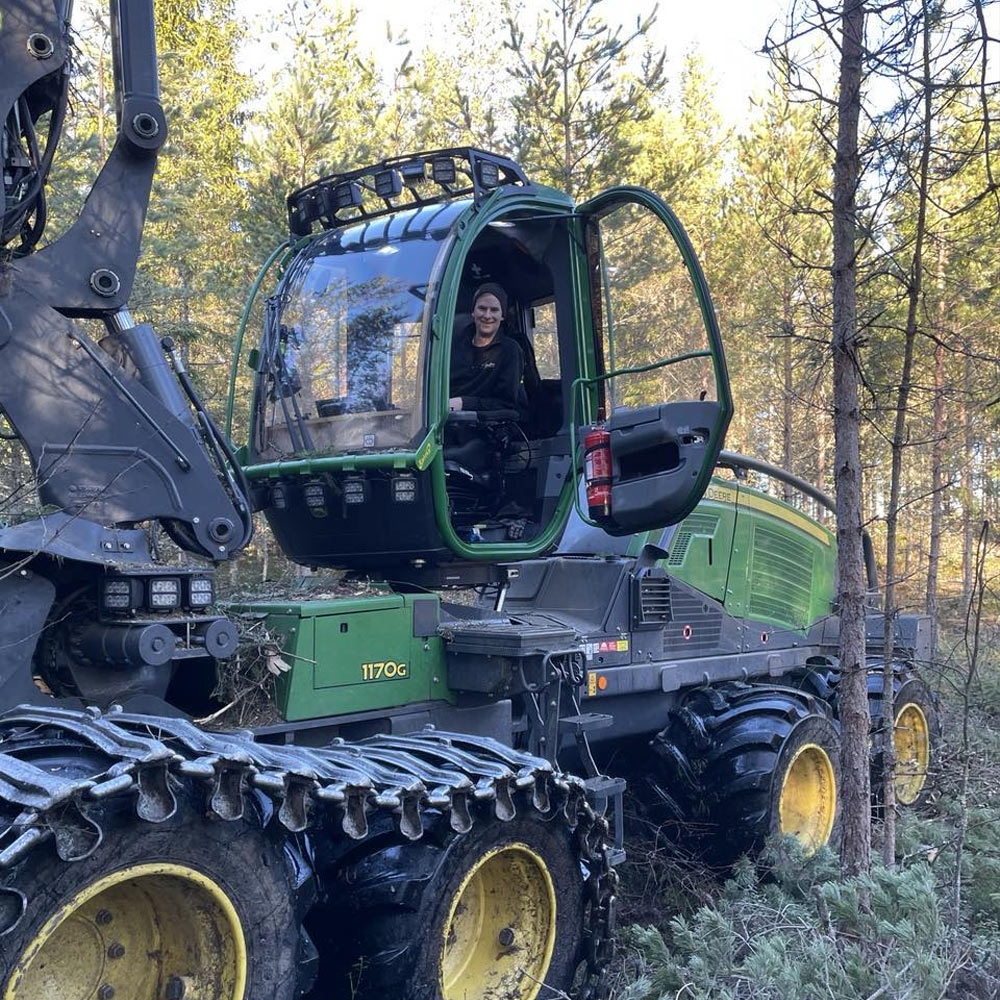 Medarbetare arbetar i skogen