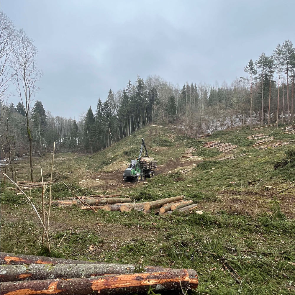 Kallhygge av ett skogsområde