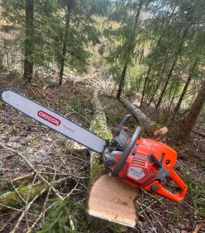 Motorsåg i skogen