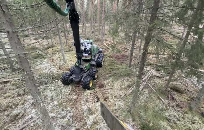 Lyftkran fotat från ett träd