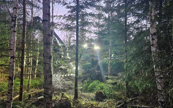 Lyftkran i skogen